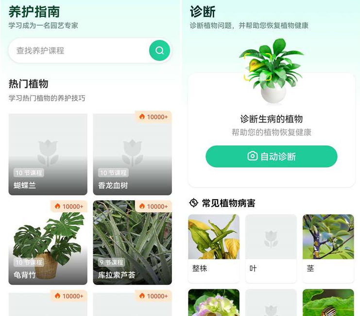 Plant Parentv1.29.2解锁高级版